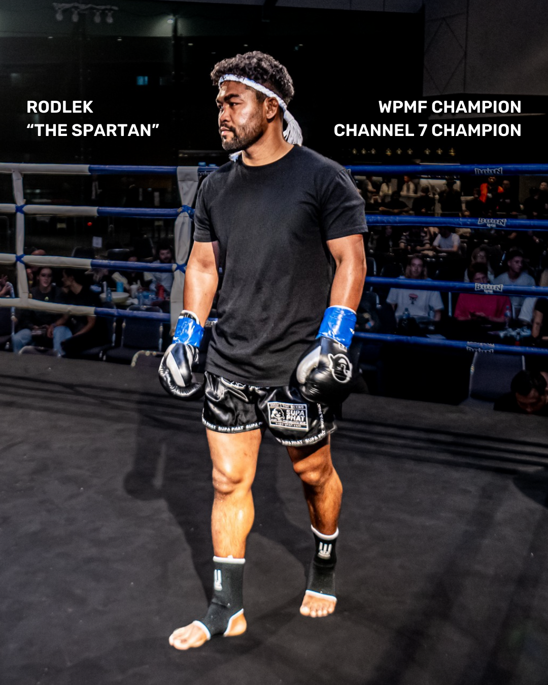 SENTINEL BOXING GLOVES