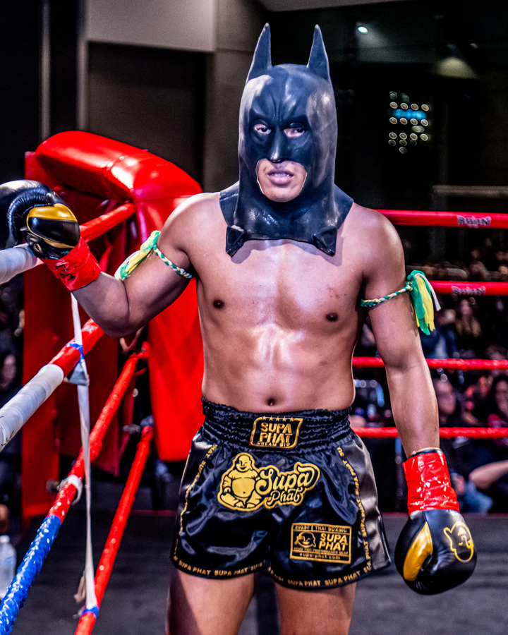 SENTINEL BOXING GLOVES