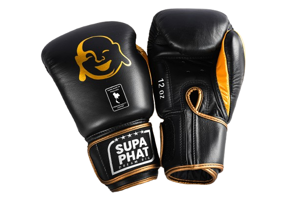 SENTINEL BOXING GLOVES